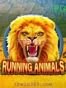 Descubra o Fascinante Mundo de RunningAnimals